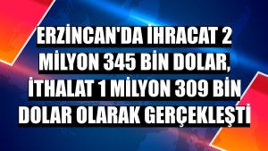 Erzincan'da ihracat 2 milyon 345 bin dolar, ithalat 1 milyon 309 bin dolar olarak gerçekleşti