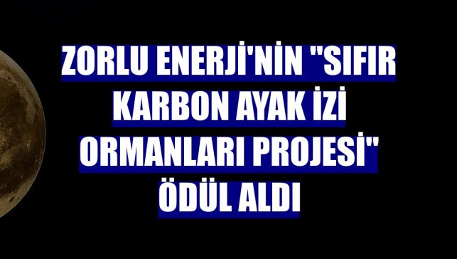 Zorlu Enerji'nin "Sıfır Karbon Ayak İzi Ormanları Projesi" ödül aldı