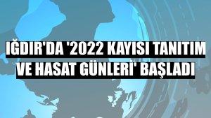 Iğdır'da '2022 kayısı tanıtım ve hasat günleri' başladı
