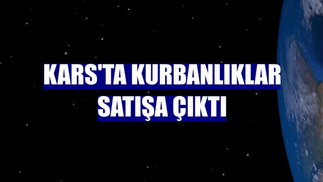 Kars'ta kurbanlıklar satışa çıktı