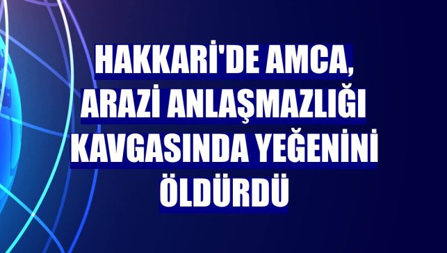 Hakkari'de amca, arazi anlaşmazlığı kavgasında yeğenini öldürdü