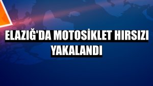 Elazığ'da motosiklet hırsızı yakalandı