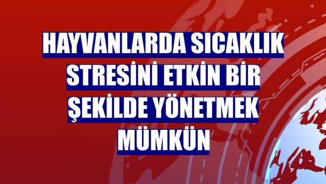 Hayvanlarda sıcaklık stresini etkin bir şekilde yönetmek mümkün