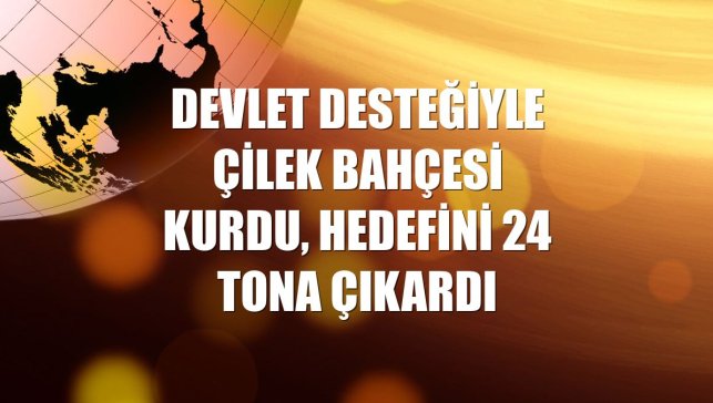 Devlet desteğiyle çilek bahçesi kurdu, hedefini 24 tona çıkardı