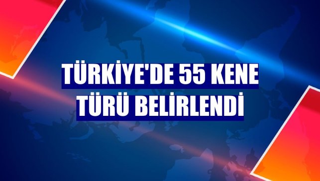 Türkiye'de 55 kene türü belirlendi