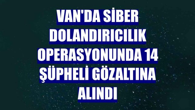 Van'da siber dolandırıcılık operasyonunda 14 şüpheli gözaltına alındı