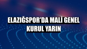 Elazığspor'da Mali Genel Kurul yarın
