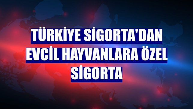 Türkiye Sigorta'dan evcil hayvanlara özel sigorta