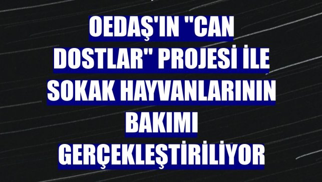 OEDAŞ'ın "Can Dostlar" projesi ile sokak hayvanlarının bakımı gerçekleştiriliyor