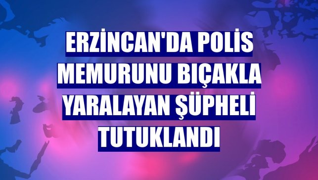 Erzincan'da polis memurunu bıçakla yaralayan şüpheli tutuklandı