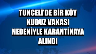 Tunceli'de bir köy kuduz vakası nedeniyle karantinaya alındı