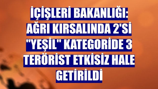 İçişleri Bakanlığı: Ağrı kırsalında 2'si "yeşil" kategoride 3 terörist etkisiz hale getirildi