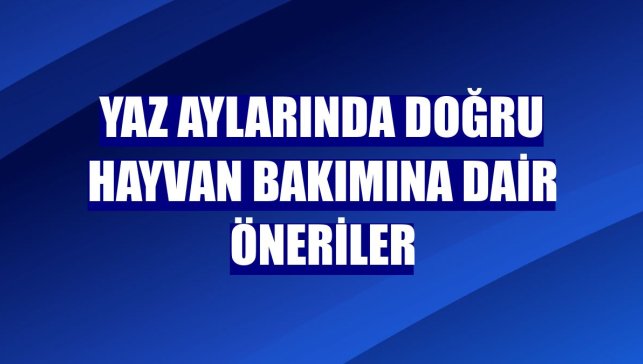 Yaz aylarında doğru hayvan bakımına dair öneriler