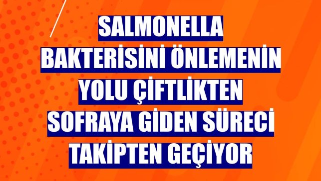 Salmonella bakterisini önlemenin yolu çiftlikten sofraya giden süreci takipten geçiyor