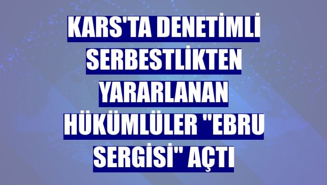 Kars'ta denetimli serbestlikten yararlanan hükümlüler "ebru sergisi" açtı