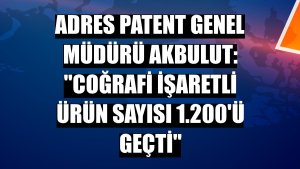 Adres Patent Genel Müdürü Akbulut: 'Coğrafi işaretli ürün sayısı 1.200'ü geçti'