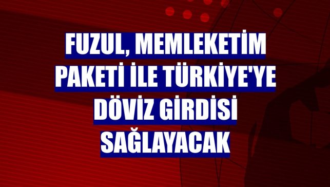 Fuzul, Memleketim Paketi ile Türkiye'ye döviz girdisi sağlayacak