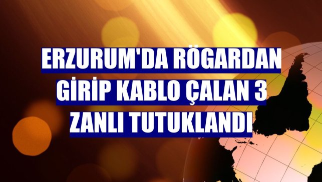 Erzurum'da rögardan girip kablo çalan 3 zanlı tutuklandı