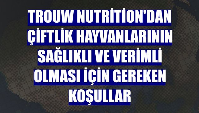 Trouw Nutrition'dan çiftlik hayvanlarının sağlıklı ve verimli olması için gereken koşullar