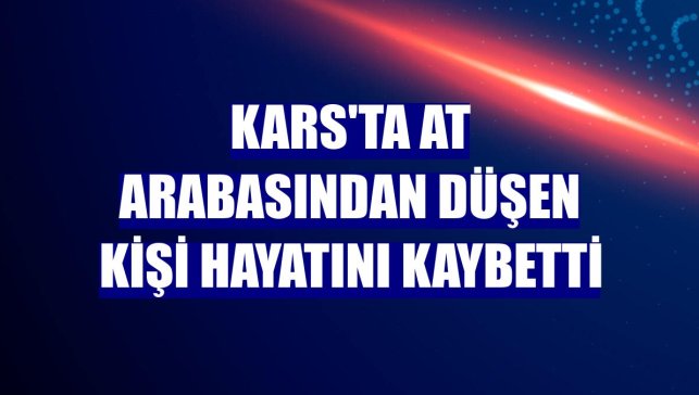 Kars'ta at arabasından düşen kişi hayatını kaybetti