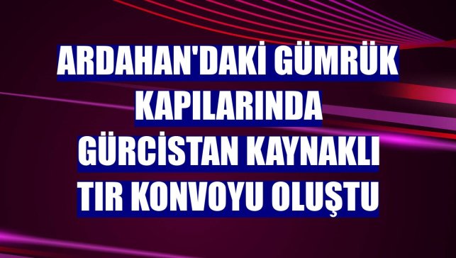 Ardahan'daki gümrük kapılarında Gürcistan kaynaklı tır konvoyu oluştu