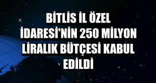 Bitlis İl Özel İdaresi'nin 250 milyon liralık bütçesi kabul edildi