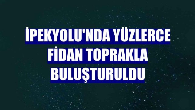 İpekyolu'nda yüzlerce fidan toprakla buluşturuldu