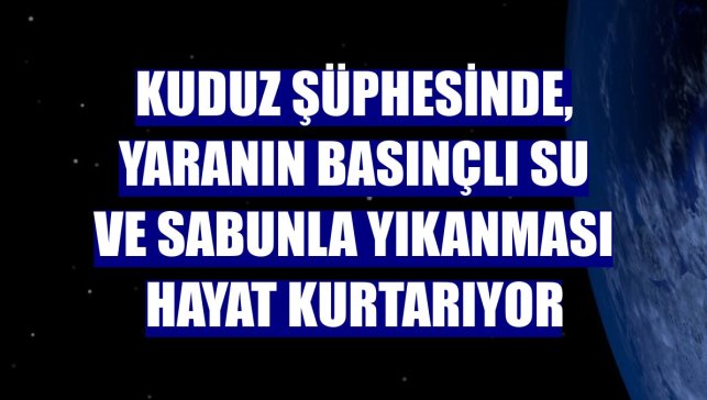 Kuduz şüphesinde, yaranın basınçlı su ve sabunla yıkanması hayat kurtarıyor