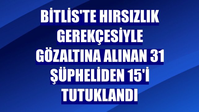 Bitlis'te hırsızlık gerekçesiyle gözaltına alınan 31 şüpheliden 15'i tutuklandı