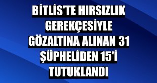 Bitlis'te hırsızlık gerekçesiyle gözaltına alınan 31 şüpheliden 15'i tutuklandı