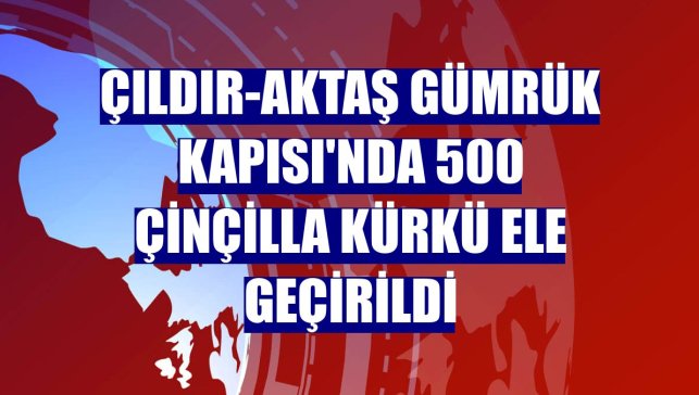 Çıldır-Aktaş Gümrük Kapısı'nda 500 çinçilla kürkü ele geçirildi