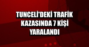 Tunceli'deki trafik kazasında 7 kişi yaralandı