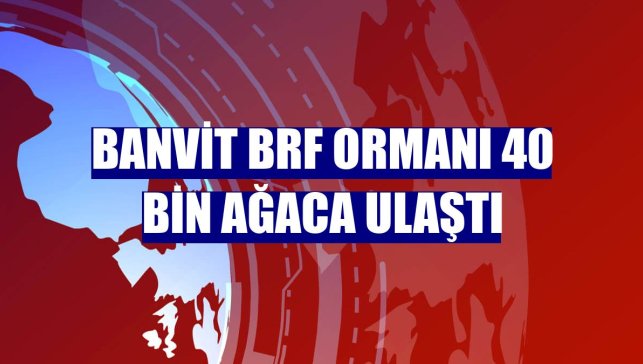 Banvit BRF Ormanı 40 bin ağaca ulaştı