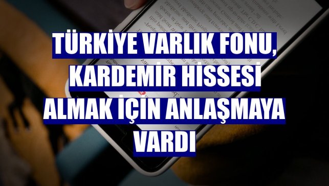 Türkiye Varlık Fonu, Kardemir hissesi almak için anlaşmaya vardı