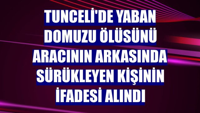 Tunceli'de yaban domuzu ölüsünü aracının arkasında sürükleyen kişinin ifadesi alındı