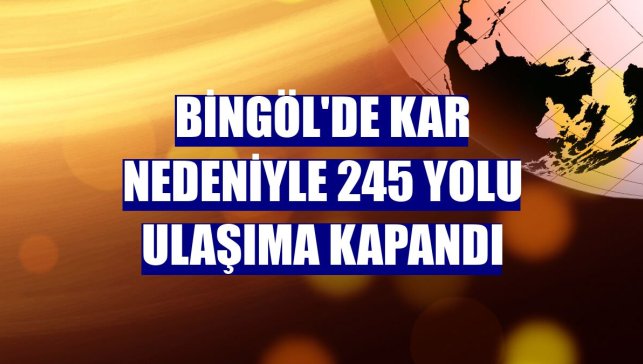 Bingöl'de kar nedeniyle 245 yolu ulaşıma kapandı