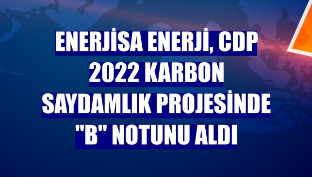 Enerjisa Enerji, CDP 2022 Karbon Saydamlık Projesinde "B" notunu aldı