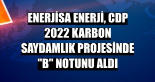 Enerjisa Enerji, CDP 2022 Karbon Saydamlık Projesinde 'B' notunu aldı