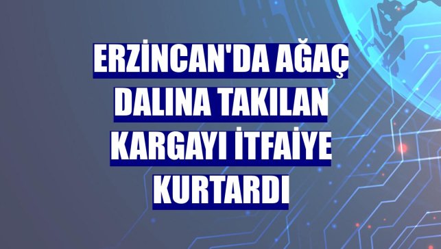 Erzincan'da ağaç dalına takılan kargayı itfaiye kurtardı
