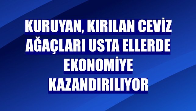 Kuruyan, kırılan ceviz ağaçları usta ellerde ekonomiye kazandırılıyor