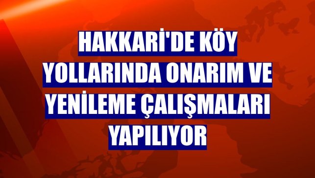 Hakkari'de köy yollarında onarım ve yenileme çalışmaları yapılıyor