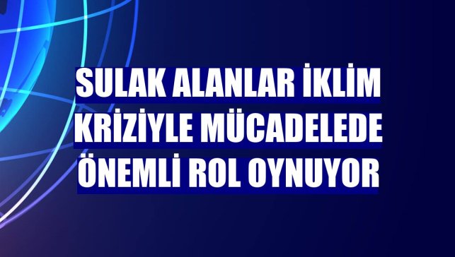Sulak alanlar iklim kriziyle mücadelede önemli rol oynuyor