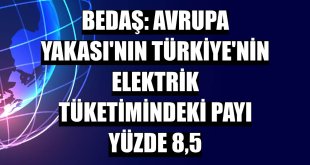 BEDAŞ: Avrupa Yakası'nın Türkiye'nin elektrik tüketimindeki payı yüzde 8,5