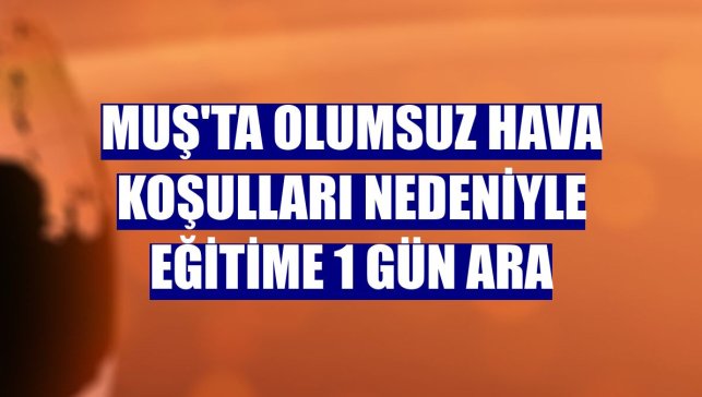 Muş'ta olumsuz hava koşulları nedeniyle eğitime 1 gün ara