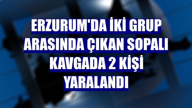Erzurum'da iki grup arasında çıkan sopalı kavgada 2 kişi yaralandı