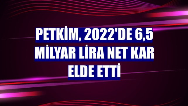 Petkim, 2022'de 6,5 milyar lira net kar elde etti