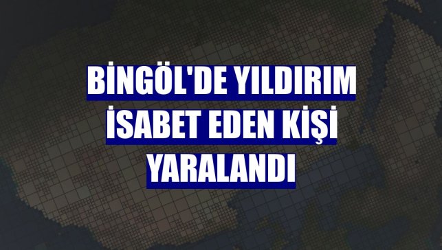 Bingöl'de yıldırım isabet eden kişi yaralandı