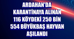 Ardahan'da karantinaya alınan 116 köydeki 250 bin 554 büyükbaş hayvan aşılandı