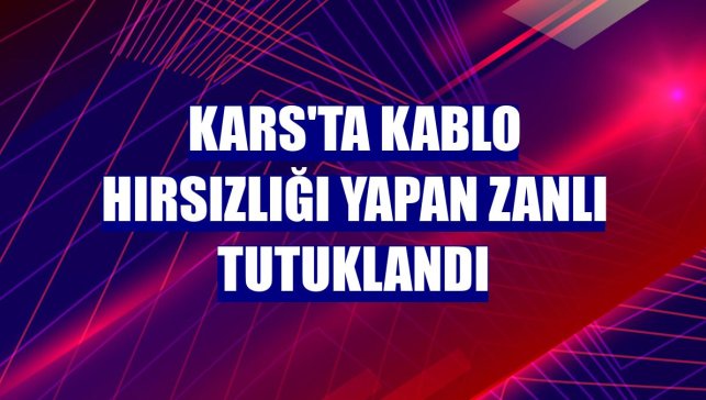 Kars'ta kablo hırsızlığı yapan zanlı tutuklandı