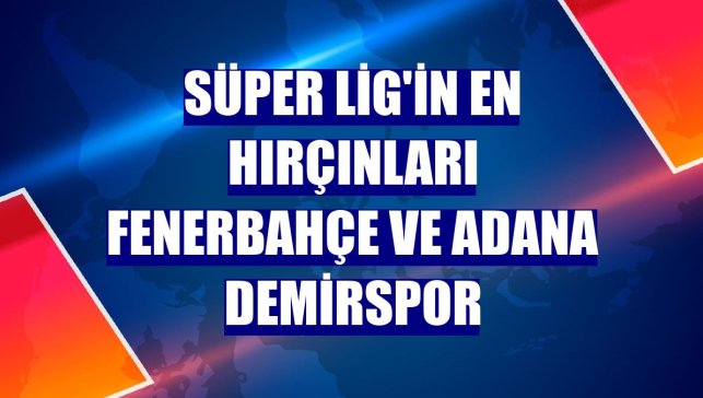 Süper Lig'in en hırçınları Fenerbahçe ve Adana Demirspor